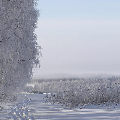 Белые краски Белые краски