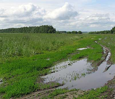Милая сердцу картина Милая сердцу картина
