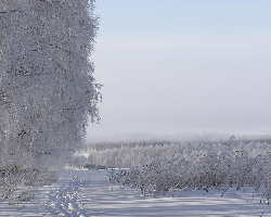 Белые краски